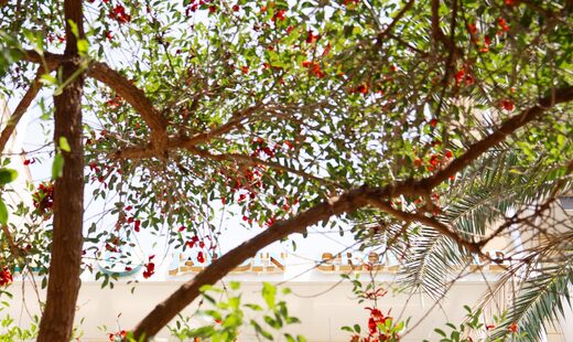 moment-partage-de-calme-qualite-jardin-croisette