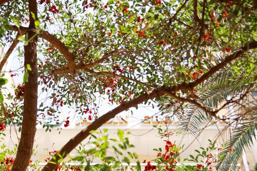 moment-partage-de-calme-qualite-jardin-croisette